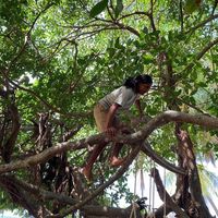 Marcos Palacios's Photo