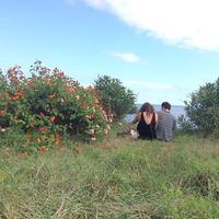 Lea Schumacher的照片