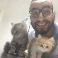 Faris Elmamlouk's Photo