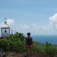 Camomilla Salsera's Photo