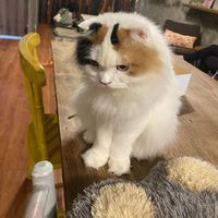 Clara Anisah's Photo