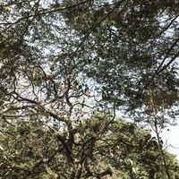 fikha nugraha的照片