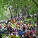 Picnic in San Isidro's picture