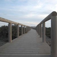 Elisabete Monteiro's Photo