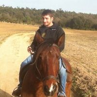 Michael Maggio的照片