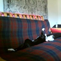 Eric Schwalbe's Photo