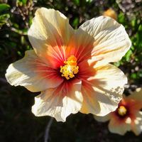 Michelle Williams's Photo