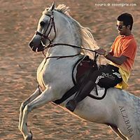 Mohamed Behari's Photo