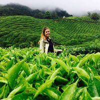 Pili Ermilio的照片