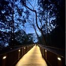 Malabar Hill Walkway's picture