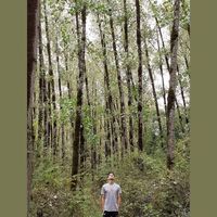 Fotos von Amir KARIMI