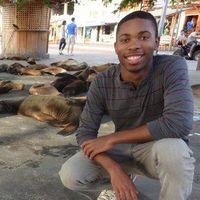 Fotos von Malcolm Temple