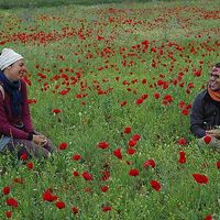 Fotos von Lucas Lope