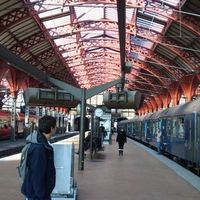 Camillo Rinaldi的照片