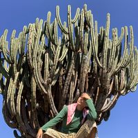 Photos de Coyo Mondragon