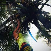 Crystal MacInnis's Photo