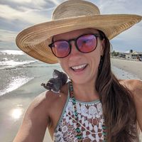 Rose Covenant的照片