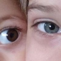 Bbr Vintset的照片