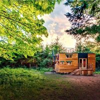 David Schneider's Photo