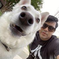 Anupam Sharma的照片