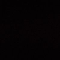 Ibrahima Cissé's Photo