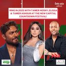 New Year's Eve celebration at the Arena Festival 's picture