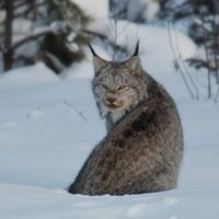 Jean-Cimon Wagner's Photo