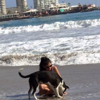 Daniela Rios的照片