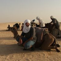 Oscar Ferreira's Photo