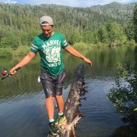 Bobby Abshire的照片