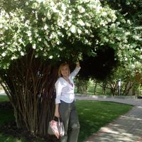 Alla Kushnir的照片