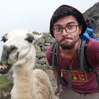 Yuval Arbel的照片