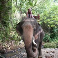 Brittany Ward的照片