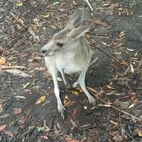 Christian Hagen的照片