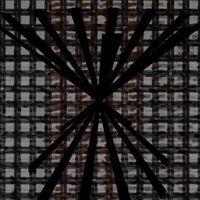 Corentin Touzet's Photo