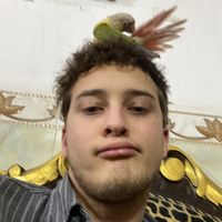 Aaron Paulsen的照片