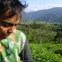 Kiki Mardiyanto's Photo