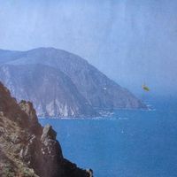 David Muñiz's Photo