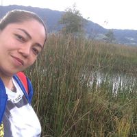 Yurani Pucca的照片