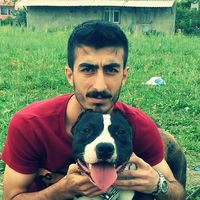 ÇAĞDAŞ ÇELİK's Photo