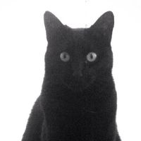 Angelina Aguilar的照片