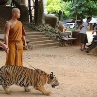 Sean Fernandez's Photo