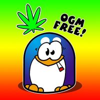 Alberto Curcio's Photo