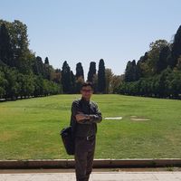 Amir Jamshidi的照片