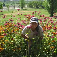 Antoinette Greene's Photo