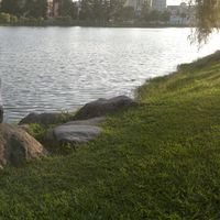 Виктория Романова's Photo