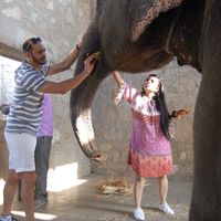 Chirag Mehta's Photo