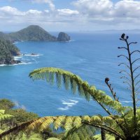 Michael Birss's Photo