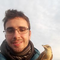 Alberto Molina Serrano's Photo