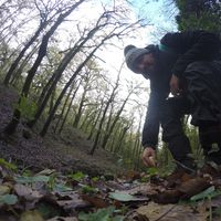 Atef Arfaoui's Photo